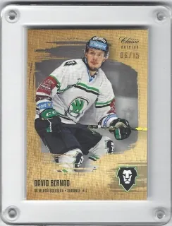 Bernad David OFS 2019-20 Gold Sand /15 č.141