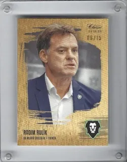 Rulík Radim OFS 2019-20 Gold Sand /15 č.144