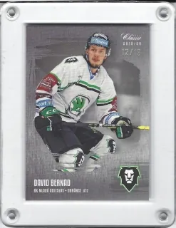 Bernad David OFS 2019-20 Silver Sand /19 č.141
