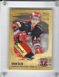 Šalda Radim OFS 2019-20 Gold Sand /15 č.371