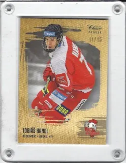 Handl Tobiáš OFS 2019-20 Gold Sand /15 č.381