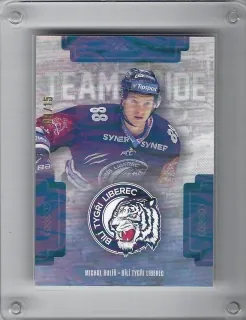 Bulíř Michal OFS 2019-20 Team Pride /15 č.TP-MBU