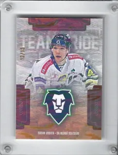 Vrbata Radim OFS 2019-20 Team Pride /15 č.TP-RVR