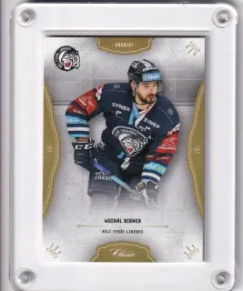 Birner Michal OFS 2020-21  č.20