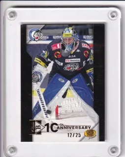 Tomáš Vošvrda OFS 2020-21 Gold Embossed - zlatá ražba limitace x/25 č.25
