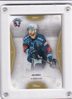 Eberle Jan OFS 2020-21  č.36
