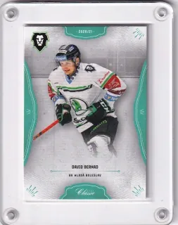 Bernad David OFS 2020-21 Blue /99 č.104