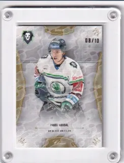 Kousal Pavel OFS 2020-21 Magma paralel /10 č.108