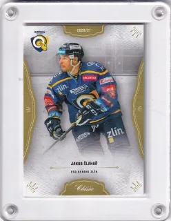 Šlahař Jakub OFS 2020-21 č.254