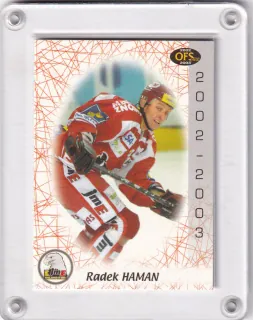 Haman Radek OFS Plus 2002-03  č.107