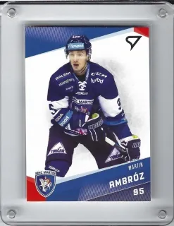Ambróz Martin SportZoo 2016-17  č.68