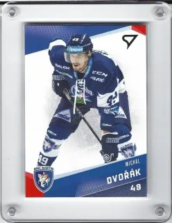 Dvořák Michal SportZoo 2016-17  č.70