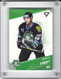 Fábry Branislav SportZoo 2016-17  č.107