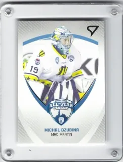 Dzubina Michal SportZoo 2016-17 All Stars č.A07