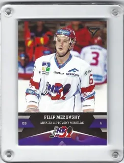 Mezovský Filip SportZoo 2017-18 č.39