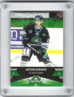 Dubinin Artem SportZoo 2017-18 č.81