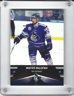 Paločko Matúš SportZoo 2017-18 č.100