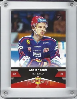 Drgoň Adam SportZoo 2017-18 č.131