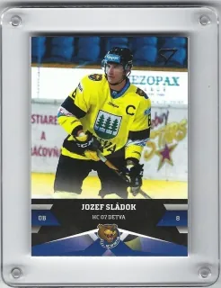Sládok Jozef SportZoo 2017-18 č.167