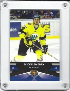 Dvořák Michal SportZoo 2017-18 č.169