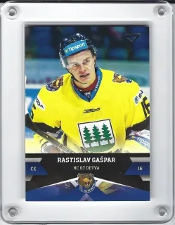 Gašpar Rastislav SportZoo 2017-18 č.178