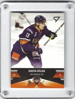 Hílek David SportZoo 2017-18 č.183