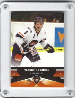 Vybíral Vladimír SportZoo 2017-18 č.189