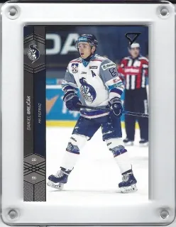 Brejčák Daniel SportZoo 2018-19 č.97