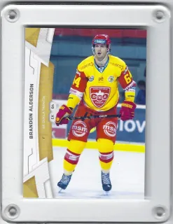Alderson Brandon SportZoo 2019-20  č.105