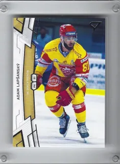 Lapšanský Adam SportZoo 2019-20  č.106