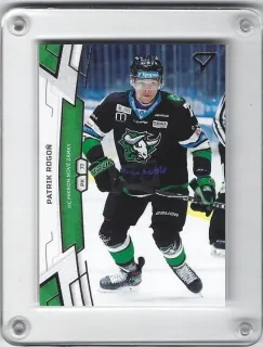 Rogoň Patrik SportZoo 2019-20  č.162