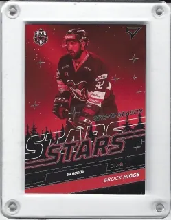 Higgs Brock SportZoo 2019-20 Season Stars č.SS09