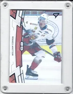 Corrin William SportZoo 2019-20 Blue /150 č.38