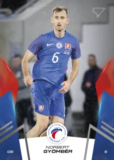 Gyömbér Norbert SportZoo Svk Sokoli 2024 Řadovka č.05