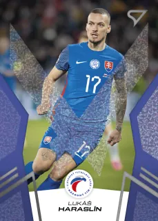 Haraslín Lukáš SportZoo Svk Sokoli 2024 Blue č.19