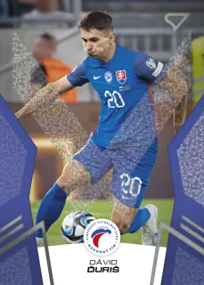 Ďuriš Dávid SportZoo Svk Sokoli 2024 Blue č.27