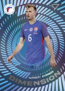 Gyömbér Norbert SportZoo Svk Sokoli 2024 Dimension 1 č.DM-03
