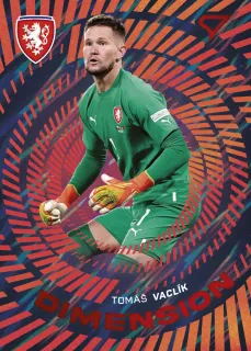 Vaclík Tomáš SportZoo Hrdí lvi 2024 Dimension 2 č.DM-02