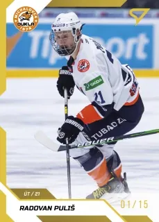 Puliš Radovan SportZoo Tipos 2022-23 Gold /15 č.87