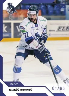 Bokroš Tomáš SportZoo Tipos 2022-23 Blue /65 č.92