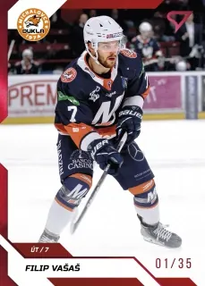 Vašaš Filip SportZoo Tipos II.série 2022-23 Red /35 č.267