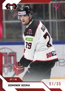 Sojka Dominik SportZoo Tipos II.série 2022-23 Red /35 č.280