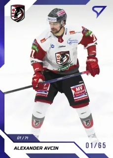 Avcin Alexander SportZoo Tipos II.série 2022-23 Blue  /65 č.286