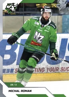 Roman Michal SportZoo Tipos II.série 2022-23 Řadovka č.310