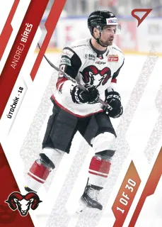 Bíreš Andrej SportZoo Tipos I.série 2023-24 Goal Light 1of30 (red) č.99
