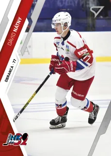 Nátny Dávid SportZoo Tipos I.série 2023-24 Řadovka č.186