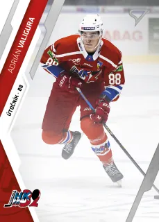 Valigura Adrián SportZoo Tipos I.série 2023-24 Řadovka č.196
