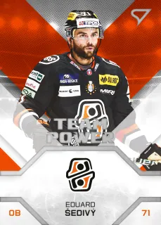 Šedivý Eduard SportZoo Tipos I.série 2023-24 TEAM POWER č.TP-02
