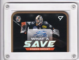 Riečický Dominik SportZoo Tipos I.série 2023-24 WHAT A SAVE AUTO /35 č.WSS-DR