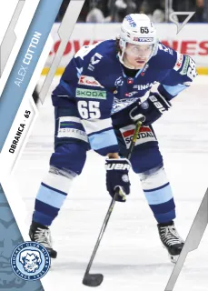 Cotton Alex SportZoo Tipos II.série 2023-24 Řadovka č.279